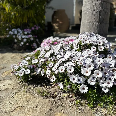 Apartmán Divers House *