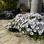 Apartment Divers House *