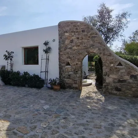 Apartment Divers House