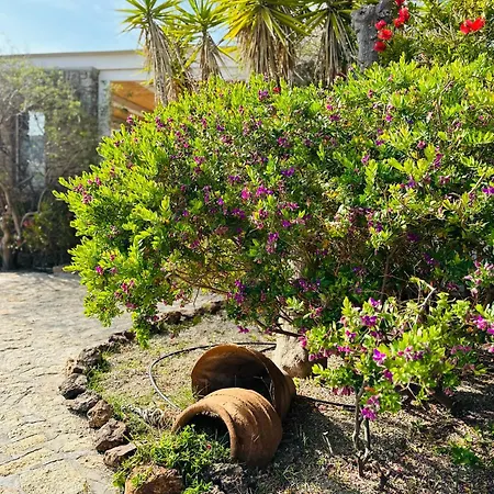 Divers House * Agrari (Mykonos)