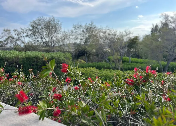 Divers House Аграри